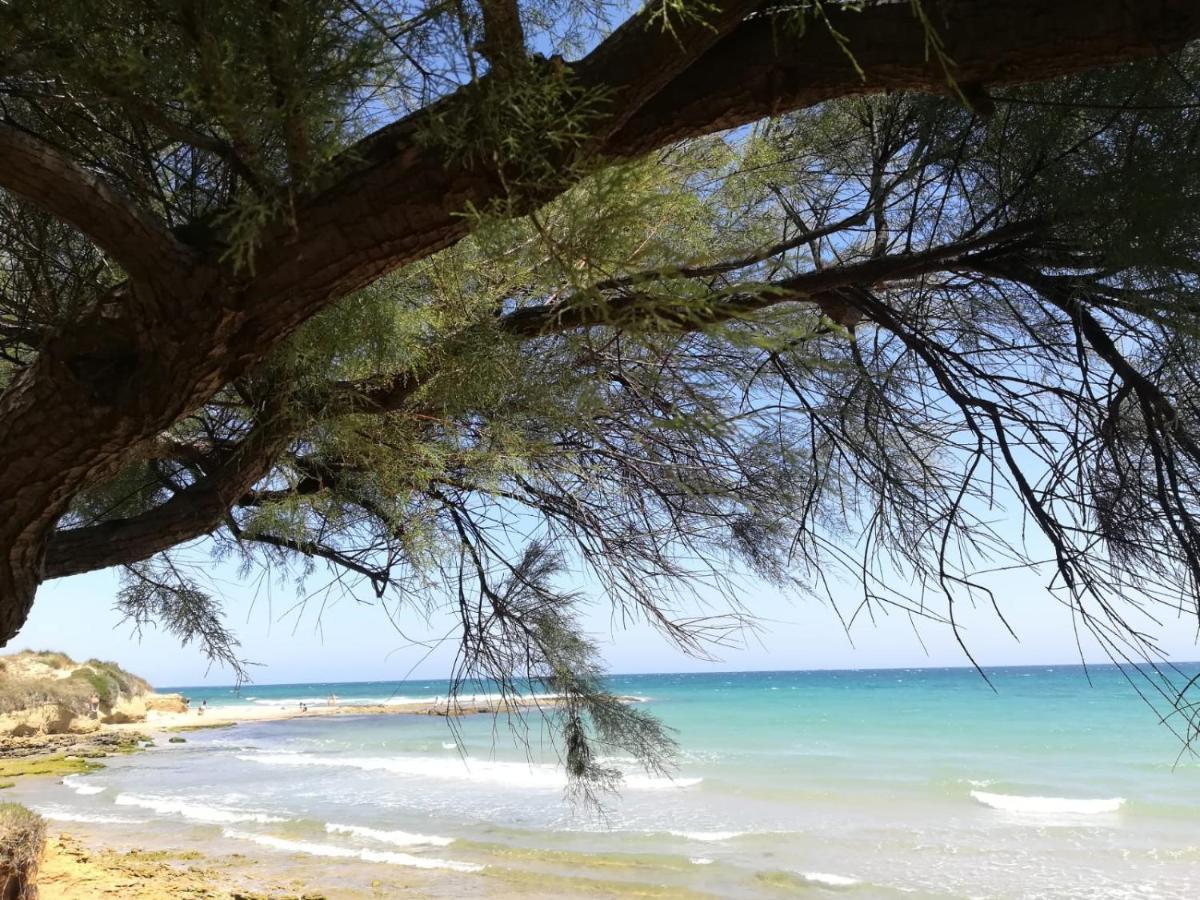 Tra Vento E Mare Apartment Lendinuso Bagian luar foto